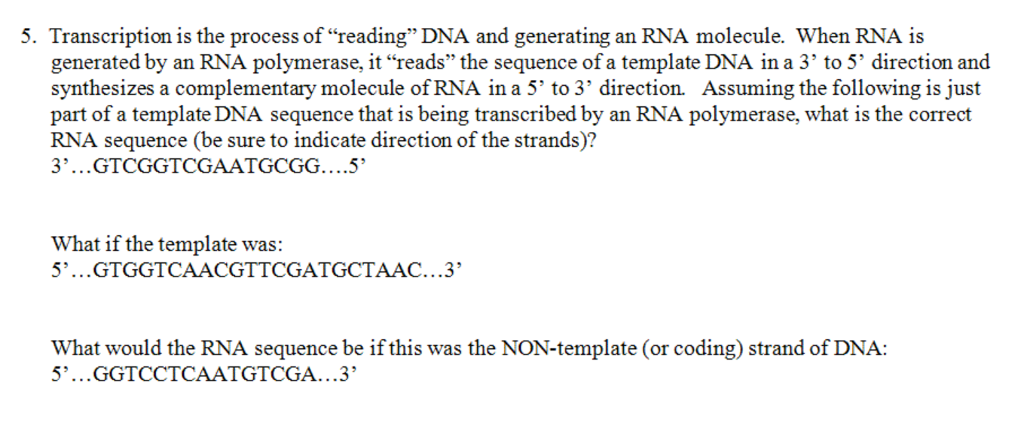 Solved 5. Transcription is the process of 