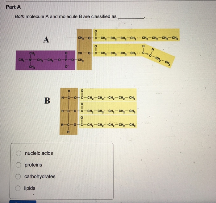 Solved Both Molecule A And Molecule B Are Classified As_. | Chegg.com