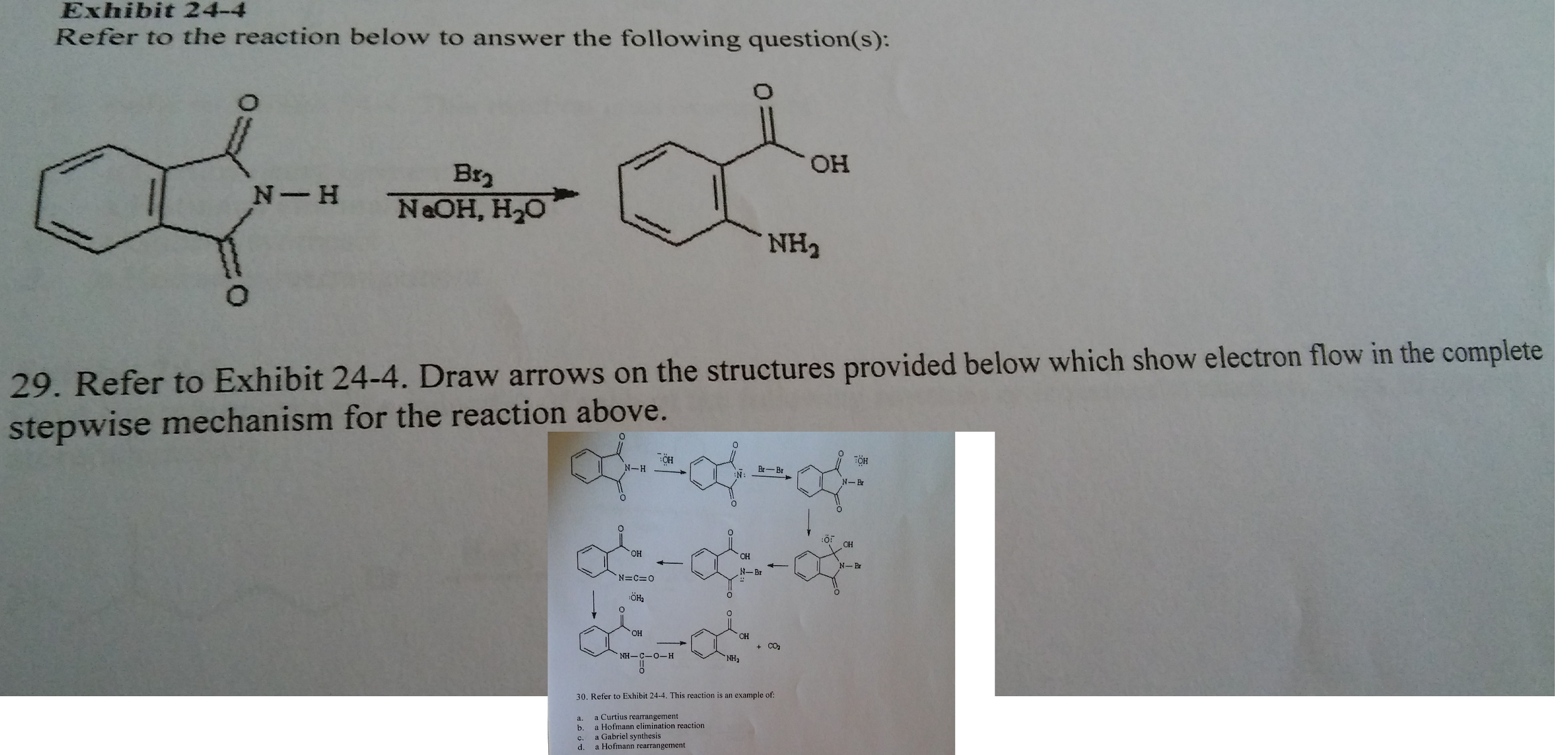 Solved Refer to the reaction below to answer the following | Chegg.com