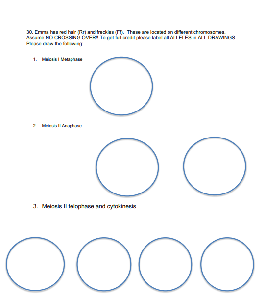 Solved 27. An individual has the following genotype. Gene | Chegg.com