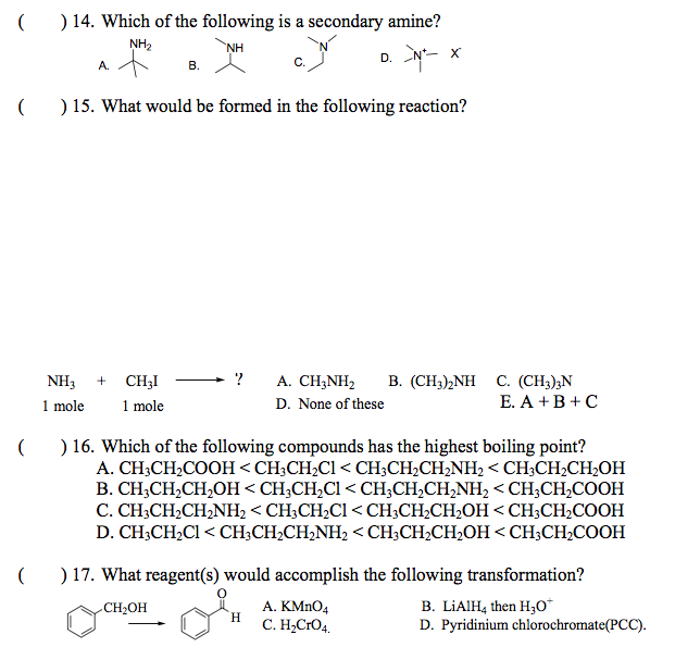 Solved Which of the following is a secondary amine? What | Chegg.com