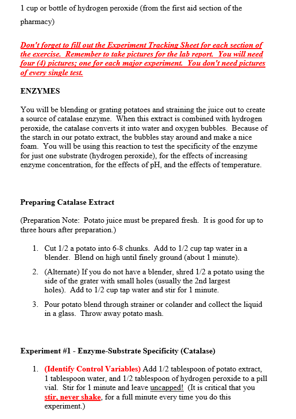 nzymes Experiment Instructions (Lab Report) LEARNING