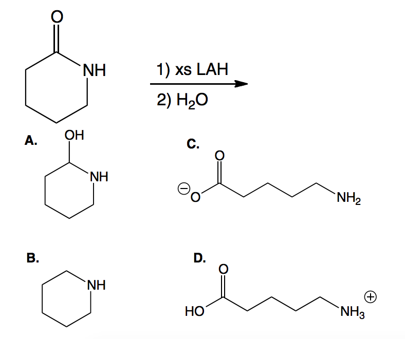 Solved NH 1) xs LAH 2) H20 A. OH NH NH NH HO NH