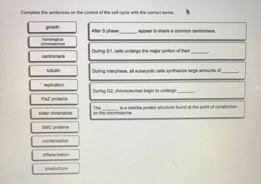 solved-complete-the-sentences-on-the-control-of-the-cell-chegg