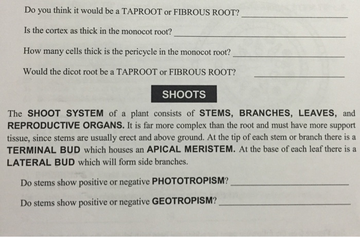 Solved Your information on stomata density for each plant is | Chegg.com