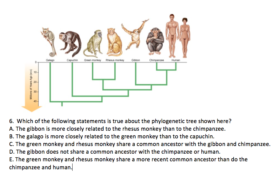 Solved Which of the following statements is true about the | Chegg.com
