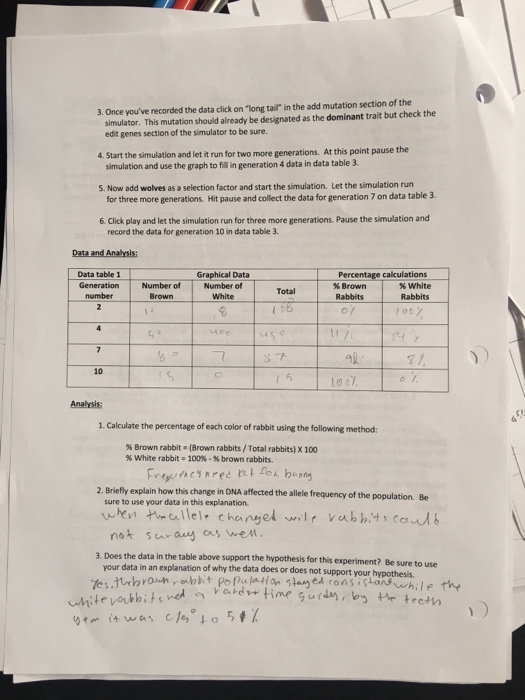 Dna Mutation Simulation Answer Key / Dna Mutations Activity / Dna