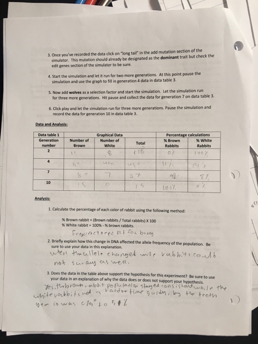 Natural Selection Simulation At Phet Worksheet Answers