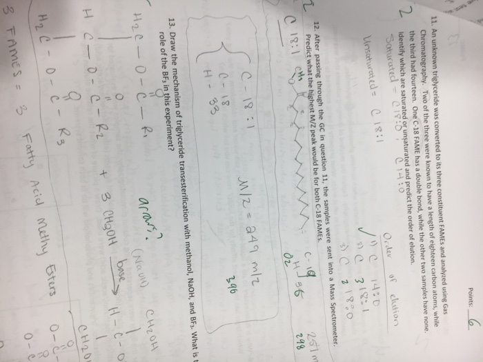 Solved Can someone show step by step how to get the right | Chegg.com