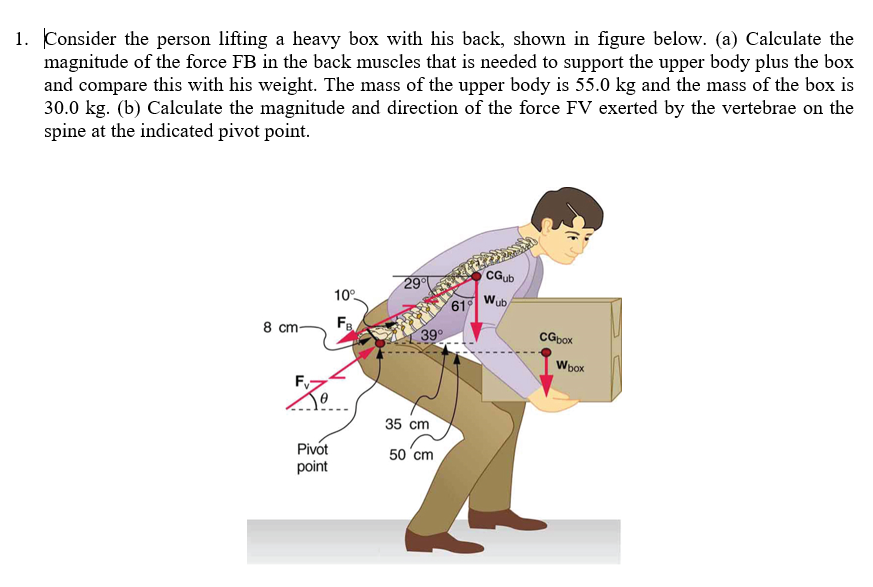 Solved Consider the person lifting a heavy box with his