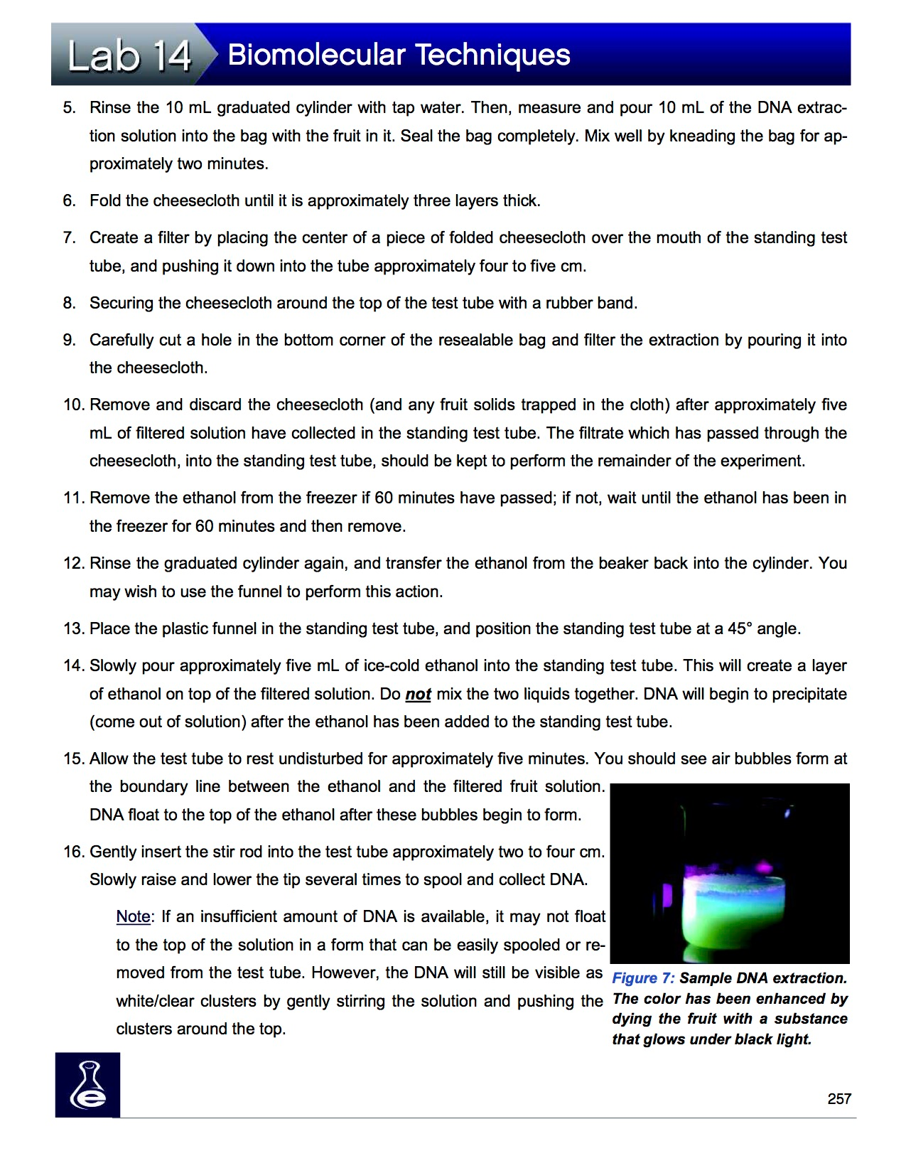 dna extraction experiment questions