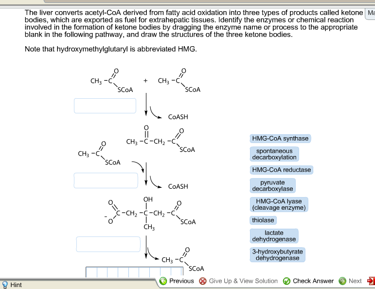 Solved The liver converts acetyl CoA derived from fatty