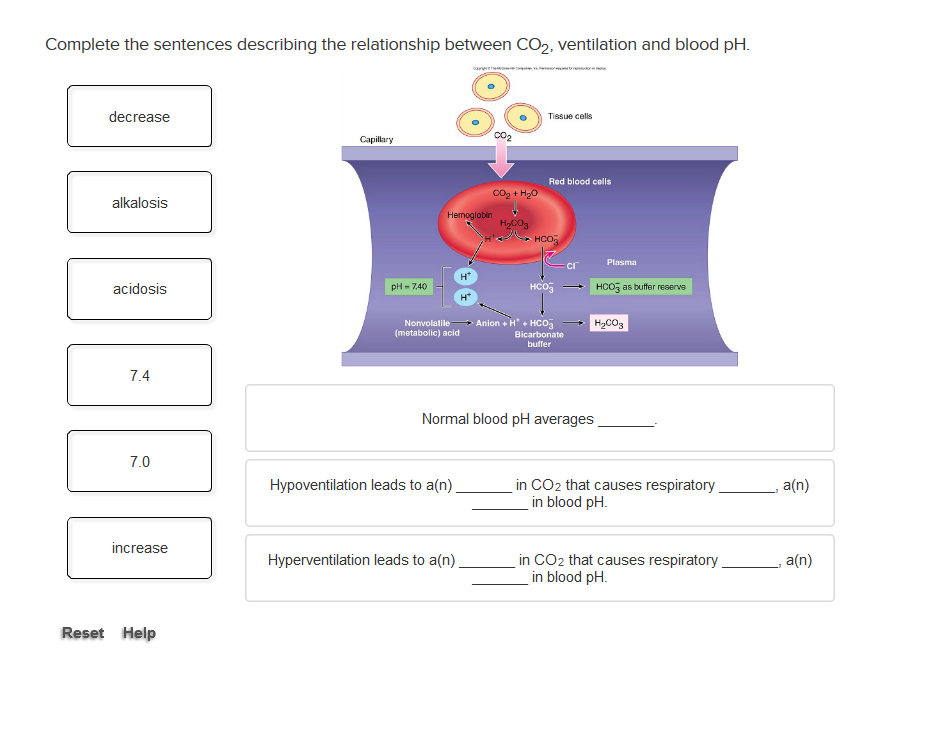 Solved Complete the sentences describing membranes in the