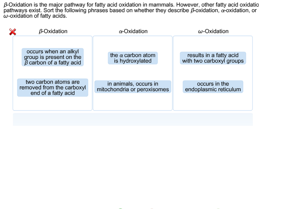 Solved beta Oxidation is the major pathway for fatty acid Chegg