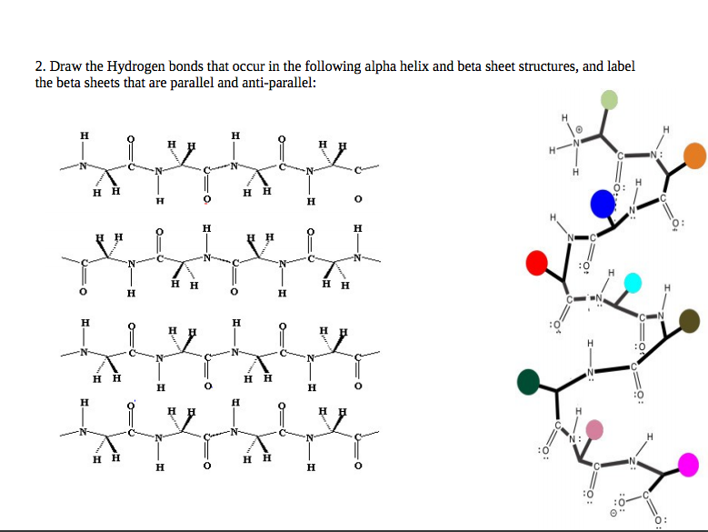 beta sheet peptide backbone