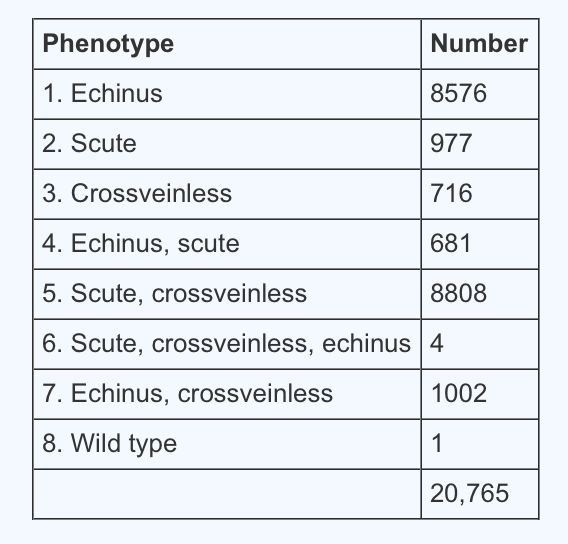 A Drosophila experiment examining potential