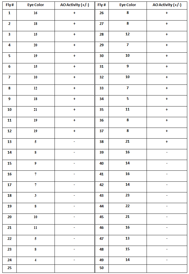 I need help with a worksheet I have all the data | Chegg.com