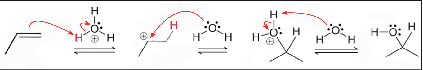 Solved The reaction mechanism for the hydration of propene | Chegg.com