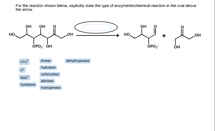 Solved For The Reaction Shown Below Explicitly State The