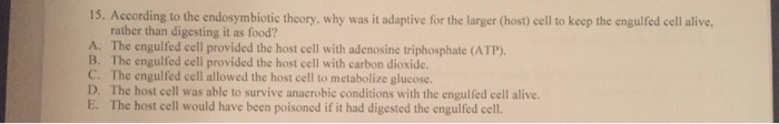 Solved: According To The Endosymbiotic Theory, Why Was It | Chegg.com