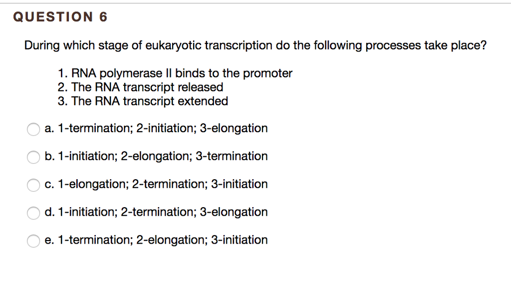 Solved QUESTION 6 During which stage of eukaryotic | Chegg.com