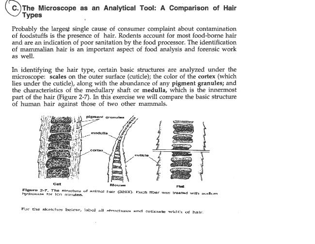 The Microscope as an Analytical Tool: A Comparison of 