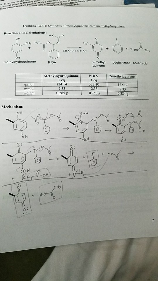 Describe your entire thought process for determining | Chegg.com