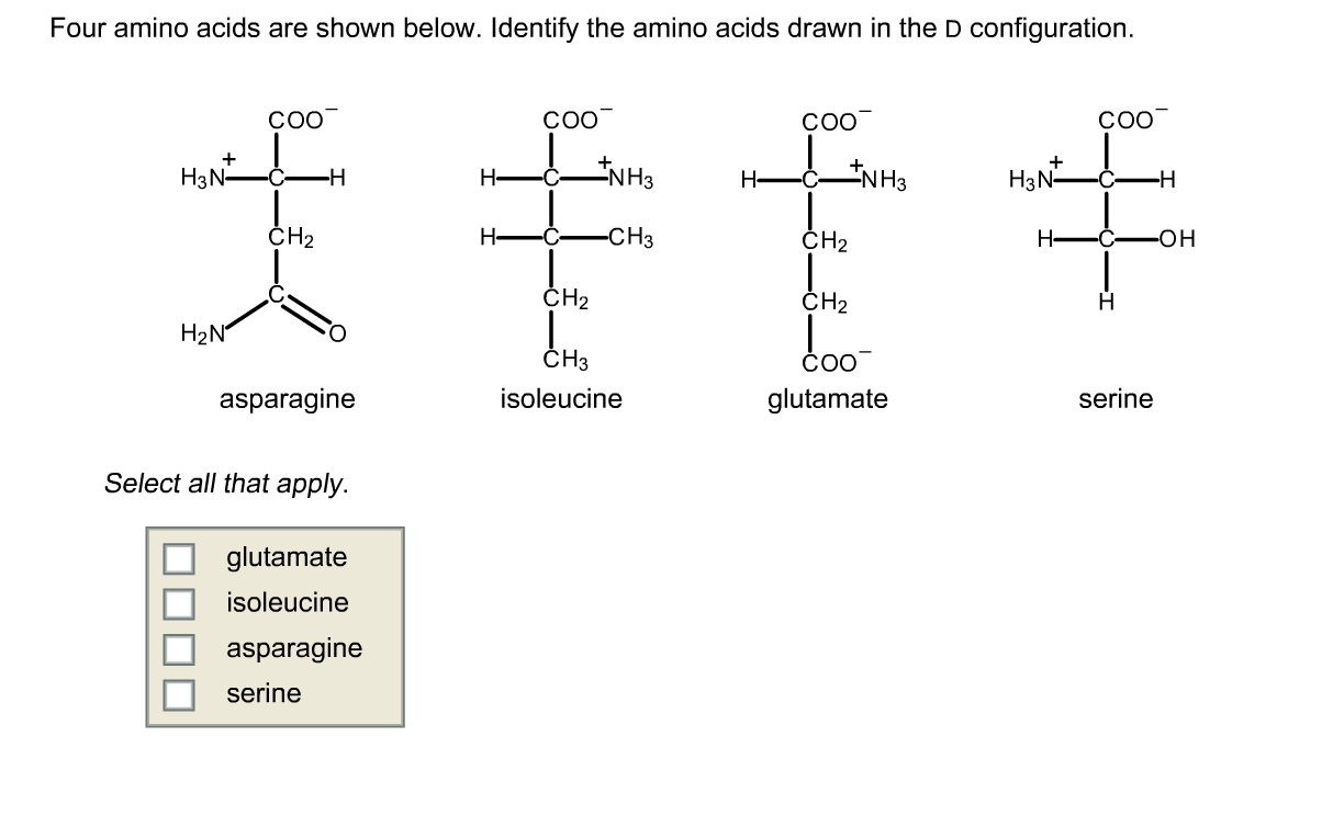 Solved Four amino acids are shown below. Identify the amino
