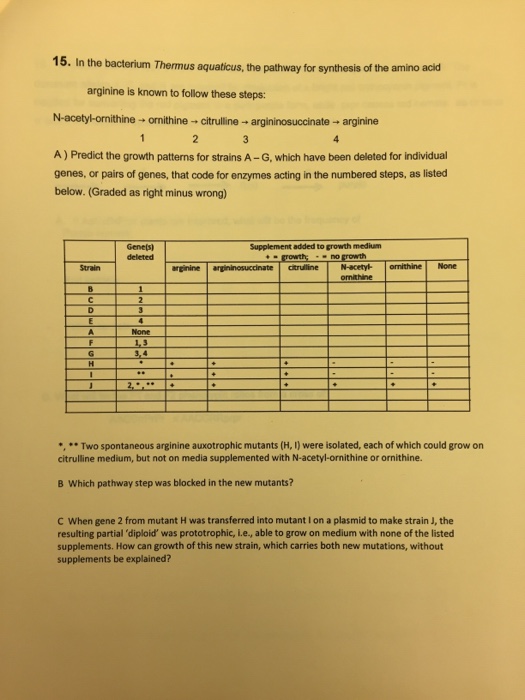 Solved In the bacterium Thermus aquaticus, the pathway for
