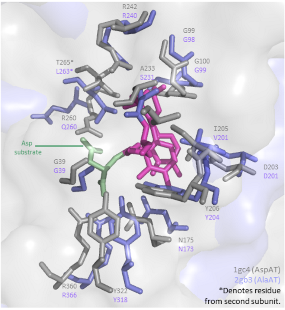 pymol secondary structure assignment