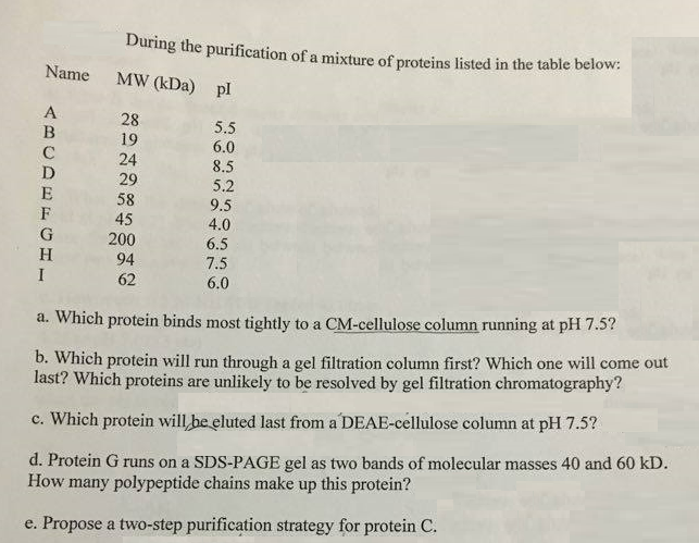 Solved During the purification of a mixture of proteins | Chegg.com