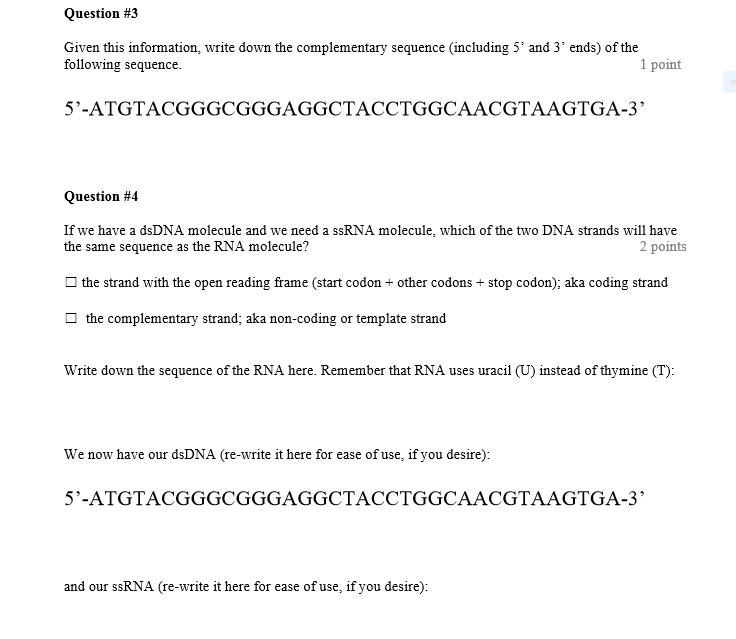 Solved 3' 5 Given the above segment of DNA, fill in the | Chegg.com