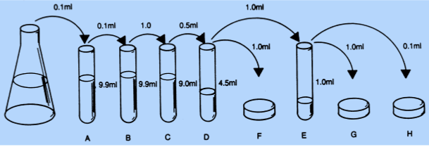 Solved Given the dilution series outlined below: A. | Chegg.com