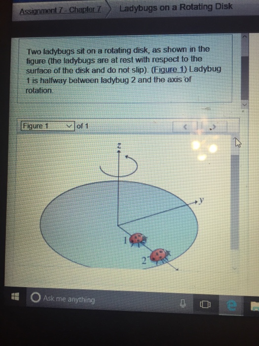 What Is The Ratio Of The Magnitude Of The Radial Acceleration Of Ladybug 2 To That Of Ladybug 1?