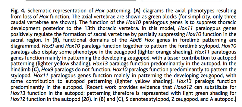 Solved The Authors Also Wrote That “they Demonstrated That | Chegg.com