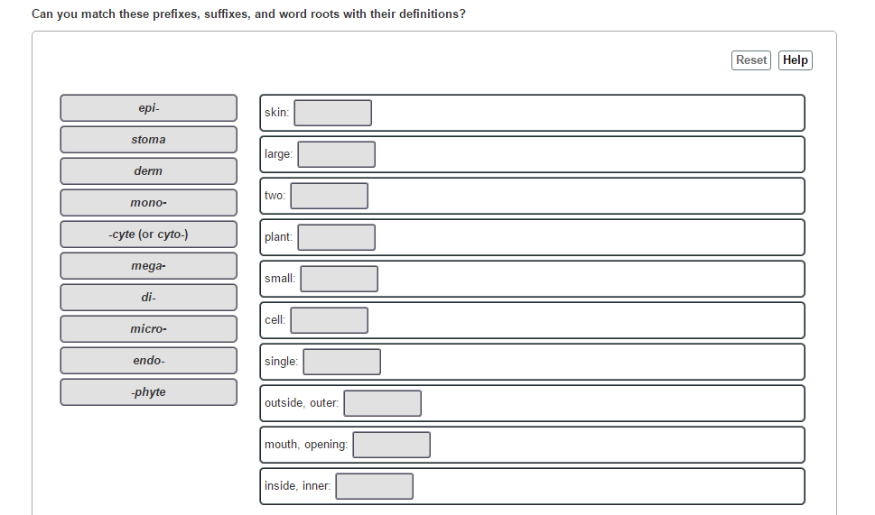 Solved Can you match these prefixes, suffixes, and word  Chegg.com