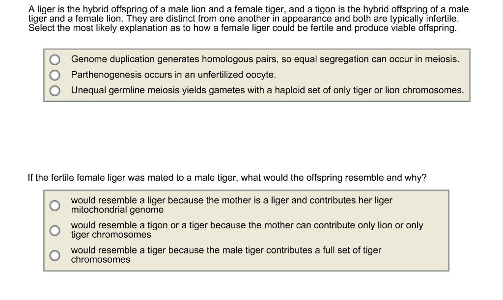 Solved A liger is the hybrid offspring of a male lion and a | Chegg.com