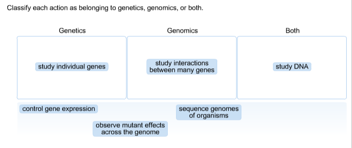 Solved Classify each action as belonging to genetics, | Chegg.com