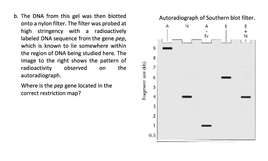 Solved Can you please help me with these questions and