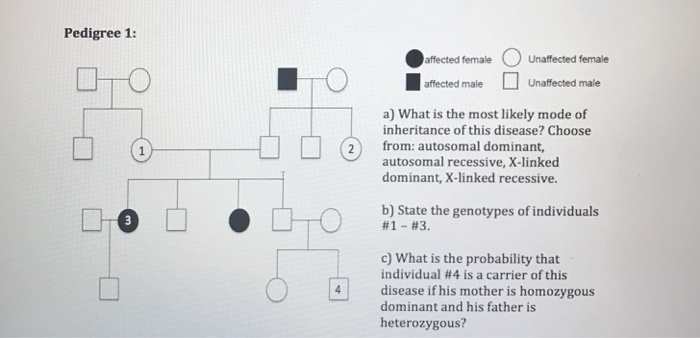 Solved What is the most likely mode of inheritance of this | Chegg.com