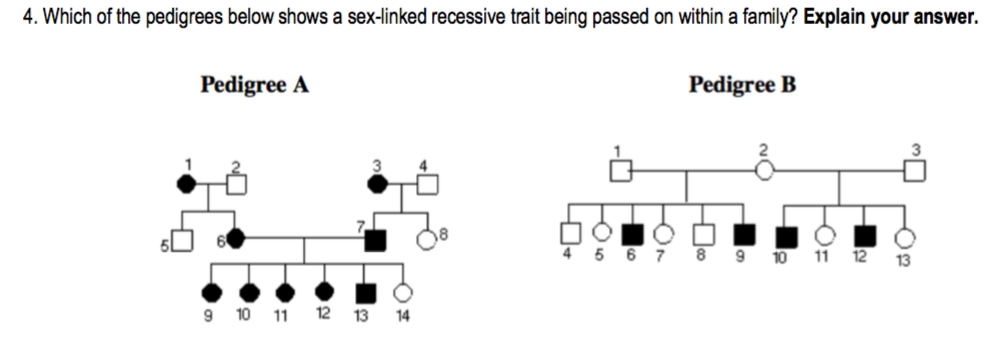 Solved 4 Which Of The Pedigrees Below Shows A Sex Linked 5623