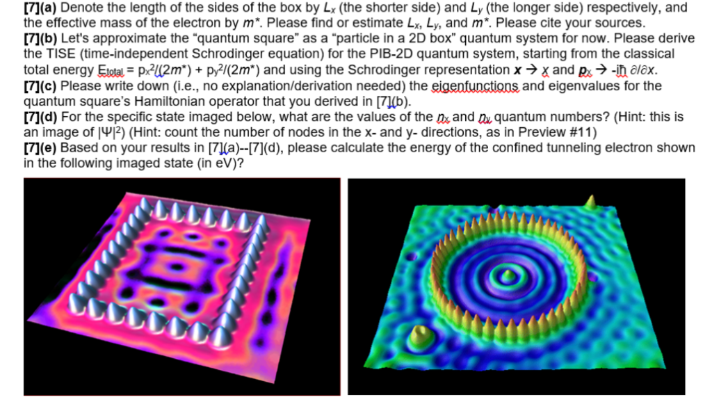 Solved (a) Denote the length of the sides of the box by L_x | Chegg.com
