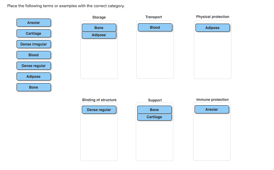 Solved Matching the types of connective tissue with their