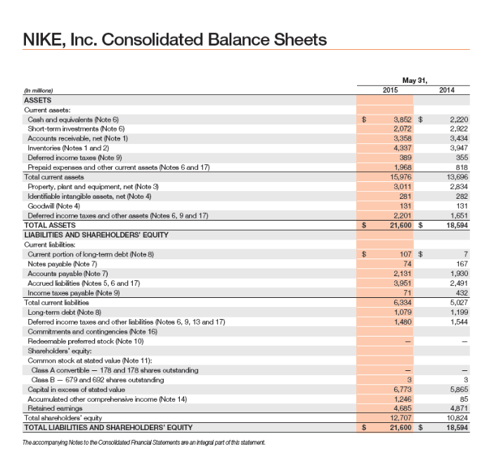 Nike balance sheet on sale 2015