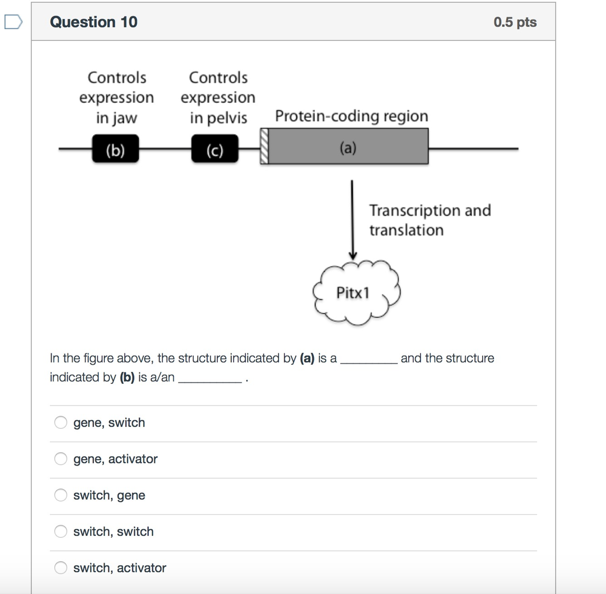 Solved In the figure above, the structure indicated by (a)