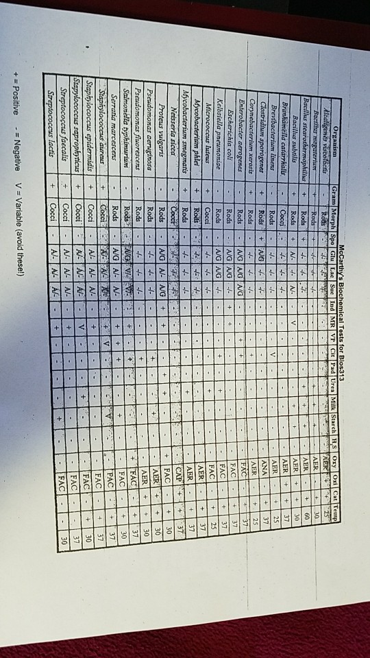 convert into a flowchart | Chegg.com