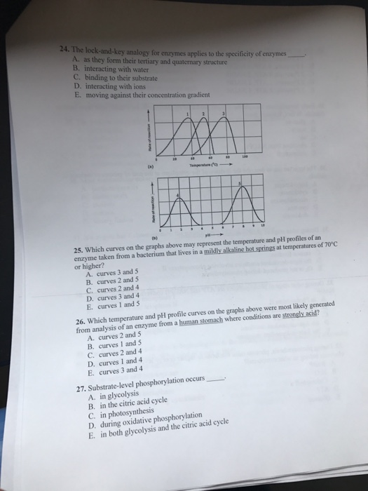 Solved The lockand key analogy for enzymes applies to the