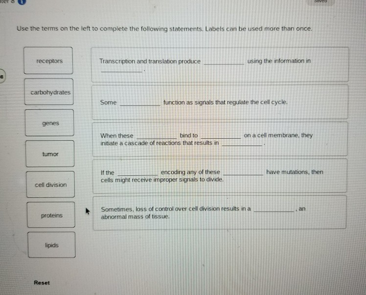 Solved ter 8 Use the terms on the left to complete the | Chegg.com