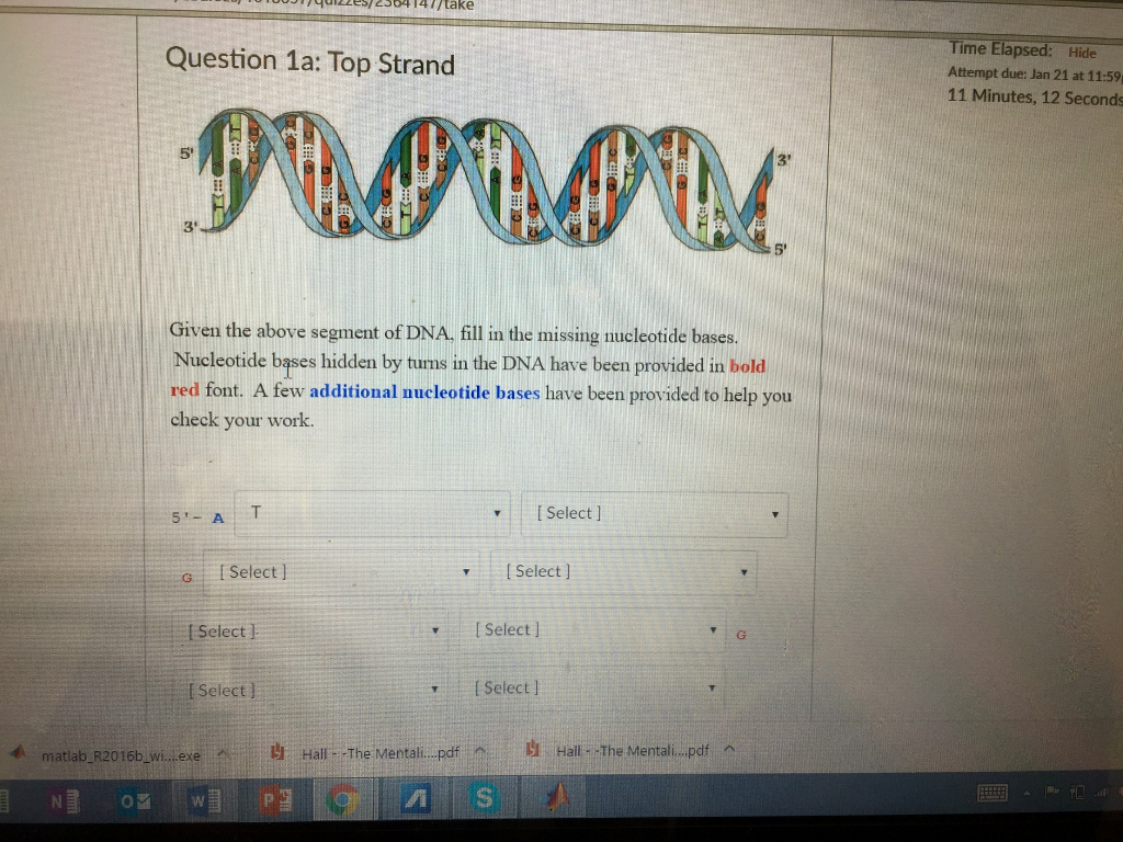 Solved Given the above segment of DNA. fill in the missing