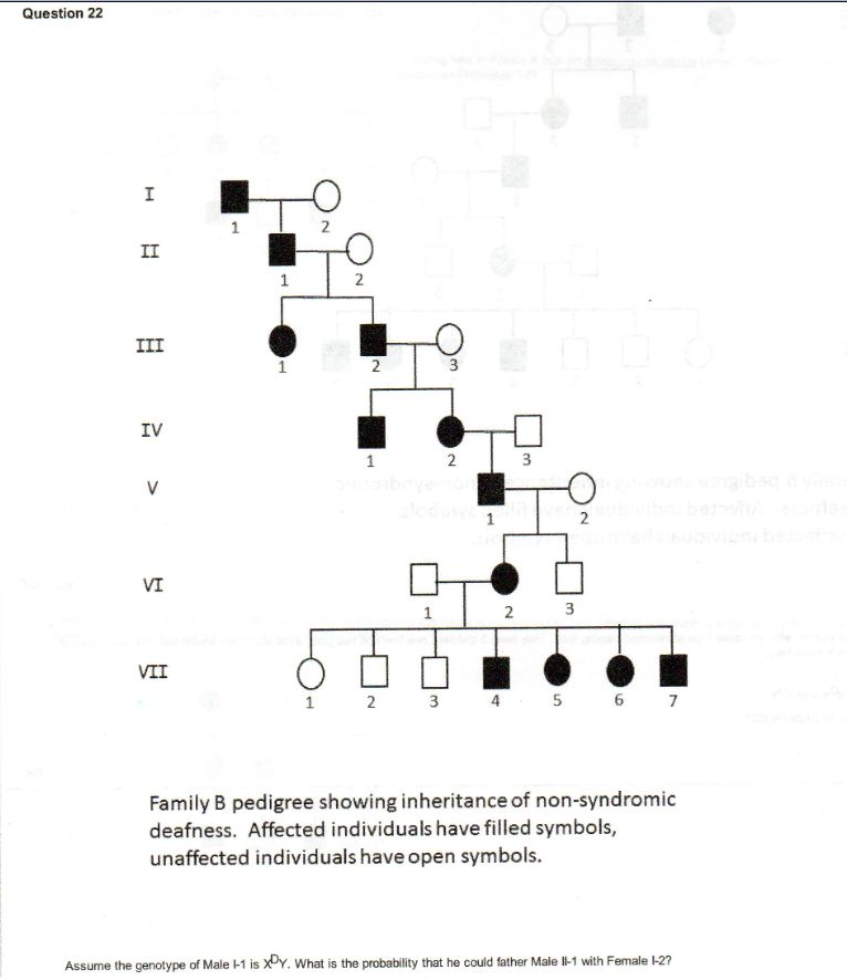 Solved Family B Pedigree Showing Inheritance Of | Chegg.com